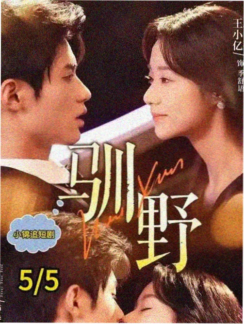 北方来的信推荐